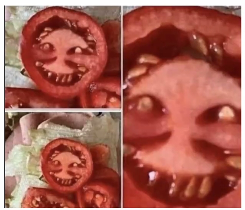 Фотограф Алексей Соколенко Razahaza